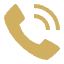 phone icon